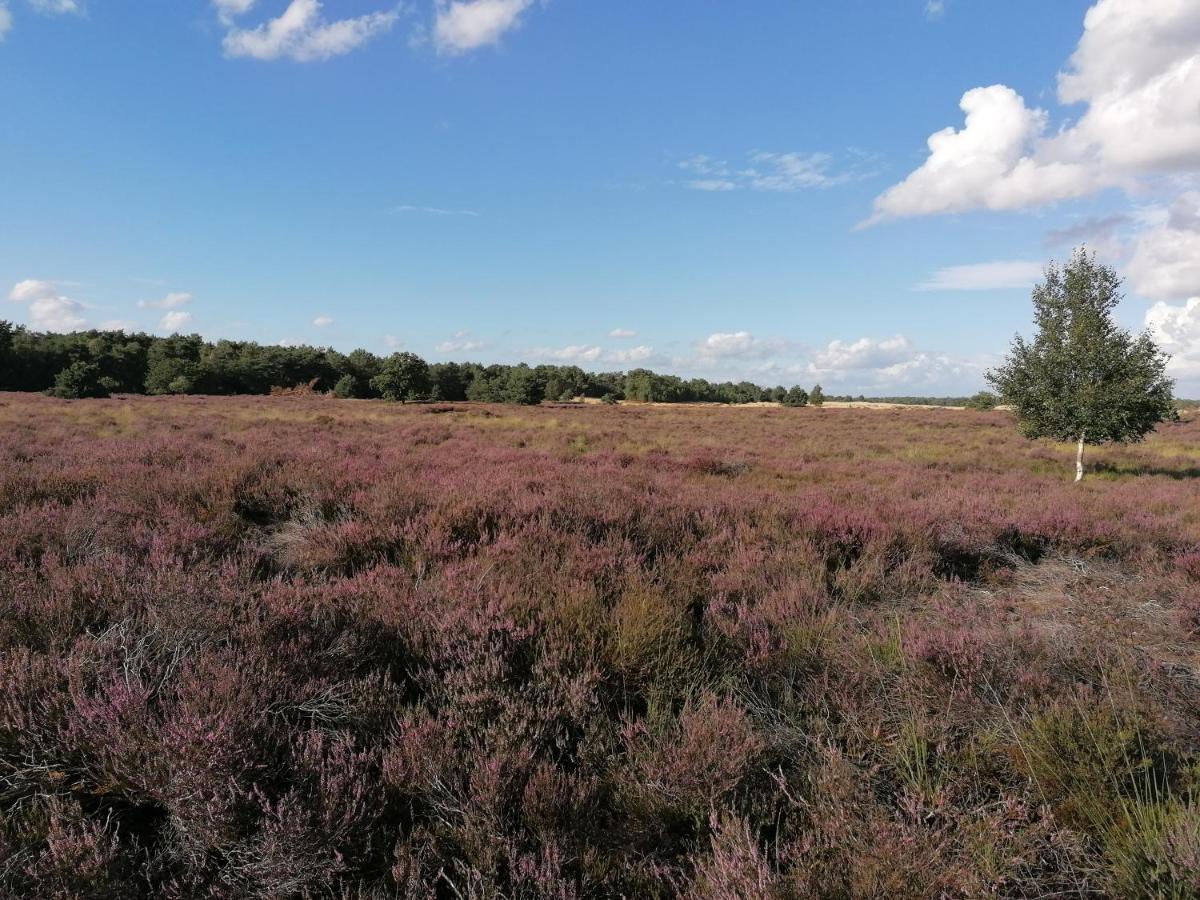 Vakantiehuis De Schaapskooi Drunen Dış mekan fotoğraf