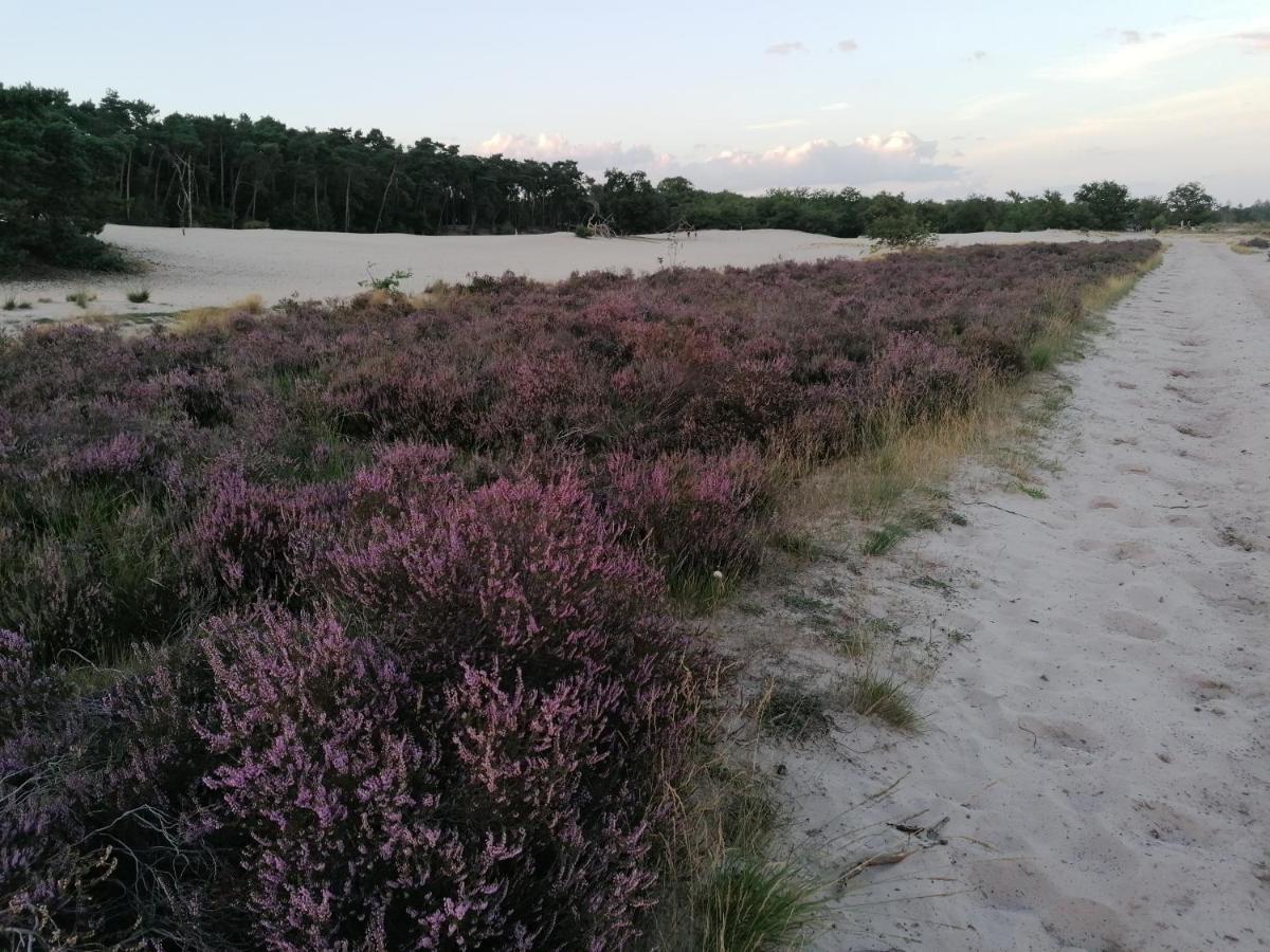 Vakantiehuis De Schaapskooi Drunen Dış mekan fotoğraf